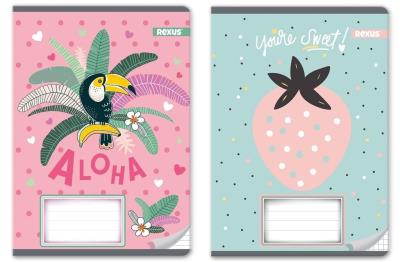 Zeszyt A5/16K kratka Dziewczynka (20szt). Wydawca: Beniamin. SmakLiter.pl Opakowanie Zeszyt A5/16K kratka Dziewczynka (20szt)