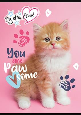 Opakowanie Zeszyt A5 16k kratka MY LITTLE FRIEND mix 1szt.