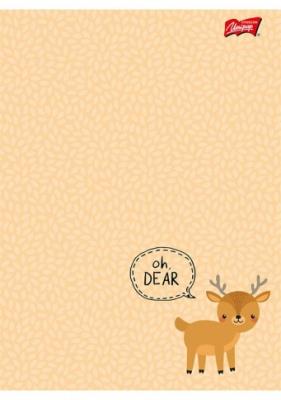 Opakowanie Zeszyt A5 16K linia dwukolorowa WOODLAND ANIMALS PAKIET 15 SZTUK