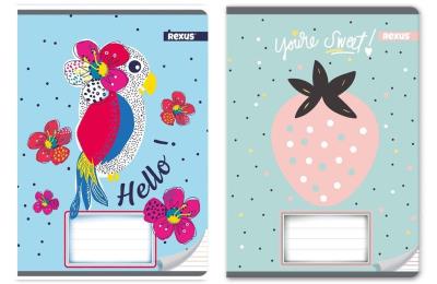 Opakowanie Zeszyt A5/16K linia Dziewczynka (20szt)