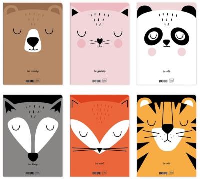 Opakowanie Zeszyt A5/32K krata BB (10szt)