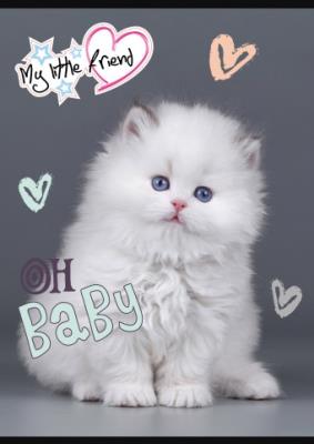 Opakowanie Zeszyt A5 32k kratka my little friend mix pakiet 15 szt.