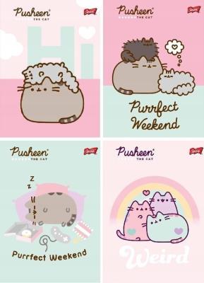 Opakowanie Zeszyt A5/32K linia dwukolorowa Pusheen (15szt)
