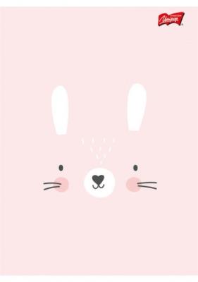 Opakowanie Zeszyt A5 32K trzylinia dwukolorowa CUTE FACE PAKIET 15 SZTUK