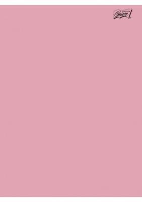 Opakowanie Zeszyt A5 60k kratka pakiet 10 sztuk