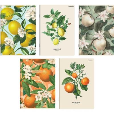 Opakowanie Zeszyt A5/60K linia Summer (10szt) TOP2000