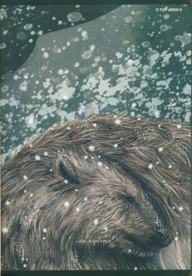 Opakowanie Zeszyt A5/80k krata Forest