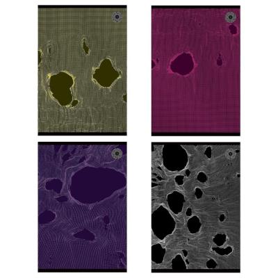 Zeszyt A5/80K kratka Tear (5szt). Wydawca: Ziemia Obiecana. SmakLiter.pl Opakowanie Zeszyt A5/80K kratka Tear (5szt)