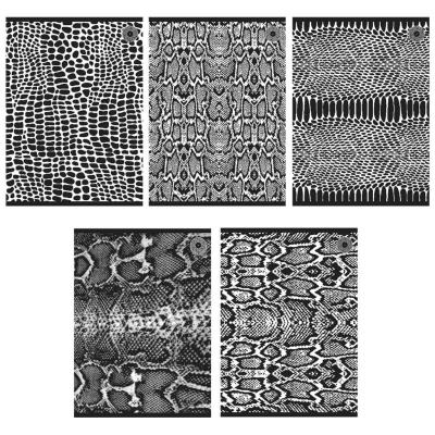 Opakowanie Zeszyt A5/80K linia Snakes 1 (5szt)