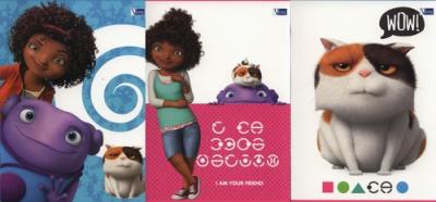 Opakowanie Zeszyt A5 Home w trzy linie 16 kartek 20 sztuk mix