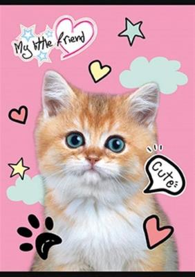 Zeszyt A5 w kratkę 16 kartek My little friend 15 sztuk mix. Wydawca: St. Majewski. SmakLiter.pl Opakowanie Zeszyt A5 w kratkę 16 kartek My little friend 15 sztuk mix