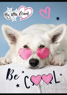 Opakowanie Zeszyt A5 w trzy linie 32 kartki My little friend 15 sztuk mix