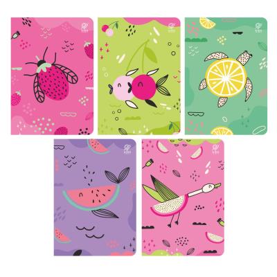 Zeszyt Fruits A5 32 TRZYLINIA – LINIA PODWÓJNA KOLOROWA. Wydawca: Elanders. SmakLiter.pl Opakowanie Zeszyt Fruits A5 32 TRZYLINIA – LINIA PODWÓJNA KOLOROWA