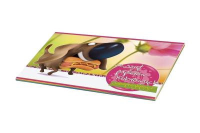 Opakowanie Zeszyt papierów kolorowych A5 samoprzylepny