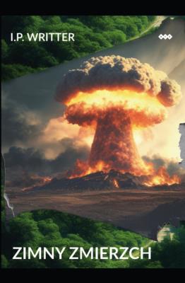 Okładka książki Zimny zmierzch