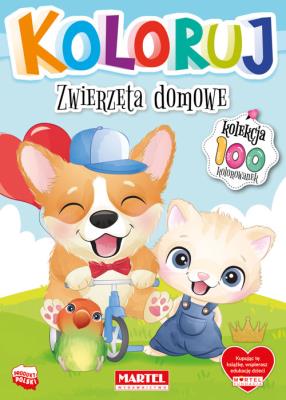 Okładka książki Zwierzęta domowe. Koloruj