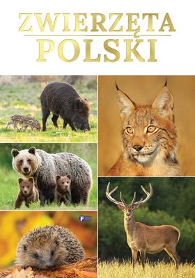 Zwierzęta Polski. Autor:   Praca zbiorowa. SmakLiter.pl Okładka książki Zwierzęta Polski