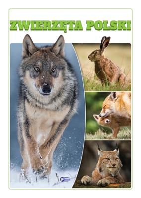 Zwierzęta Polski. Autor: Opracowanie zbiorowe. SmakLiter.pl Okładka książki Zwierzęta Polski