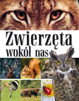 Zwierzęta wokół nas. Encyklopedia dla dzieci. Autor: Opracowanie zbiorowe. SmakLiter.pl Okładka książki Zwierzęta wokół nas. Encyklopedia dla dzieci