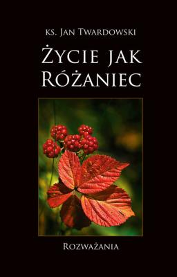 Życie jak Różaniec. Rozważania. Autor: ks.Jan Twardowski. SmakLiter.pl Okładka książki Życie jak Różaniec. Rozważania