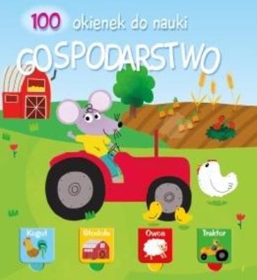 Okładka książki 100 okienek 2 - Gospodarstwo