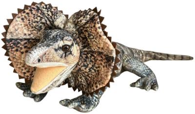 Opakowanie Agama 65cm