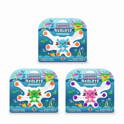 Opakowanie Aksolotl biegacz okienny 1szt.mix