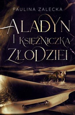 Okładka książki Aladyn i Księżniczka Złodziei