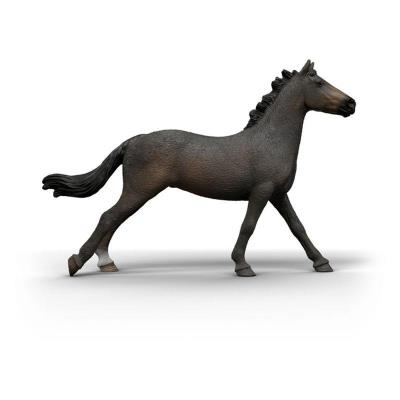 Opakowanie Angielska klacz rasy pełnej krwi