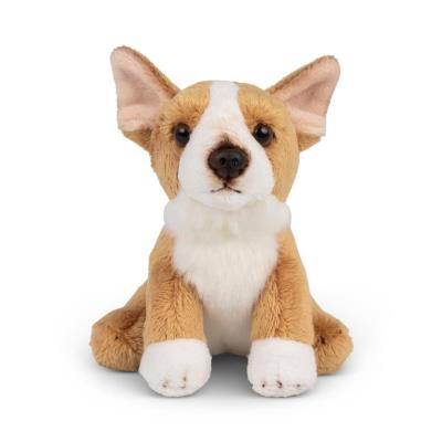 Opakowanie Animigos World of Nature mini corgi