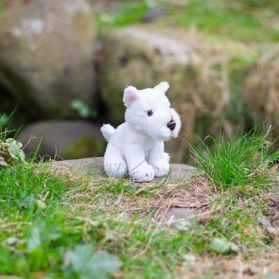 Opakowanie Animigos World of Nature mini west highland white