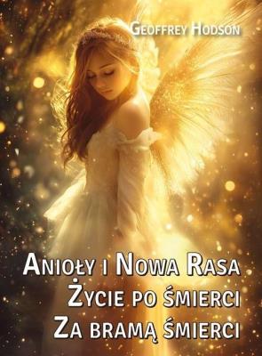 Okładka książki Anioły i Nowa Rasa. Życie po śmierci. Za bramą...