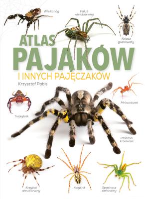 Okładka książki Atlas Pająków