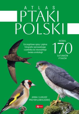 Atlas ptaków Polski. Autor: Przybyłowicz Anna, Przybyłowicz Łukasz. SmakLiter.pl Okładka książki Atlas ptaków Polski