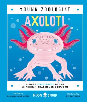 Okładka książki Axolotl. Young Zoologist