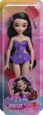 Opakowanie Barbie Dream Besties Renee