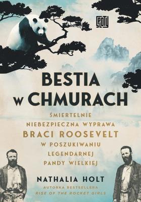Okładka książki Bestia w chmurach