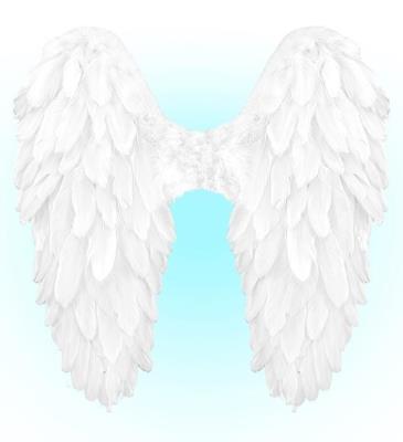 Opakowanie Białe skrzydła naturalne pióra