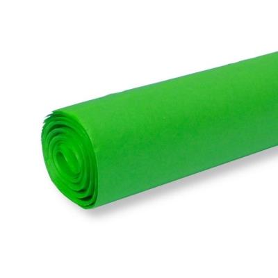 Bibuła kolorowa gładka zielona 50x70cm 30ar. Wydawca: PENWORD. SmakLiter.pl Opakowanie Bibuła kolorowa gładka zielona 50x70cm 30ar