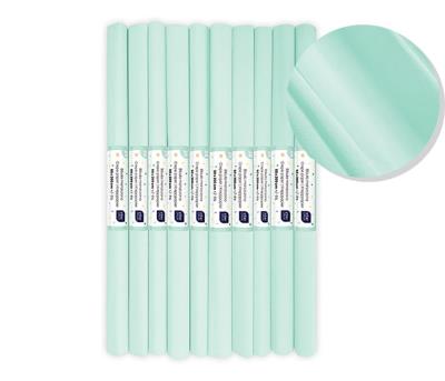 Opakowanie Bibuła marszczona nr 38 miętowy pastel (10szt)