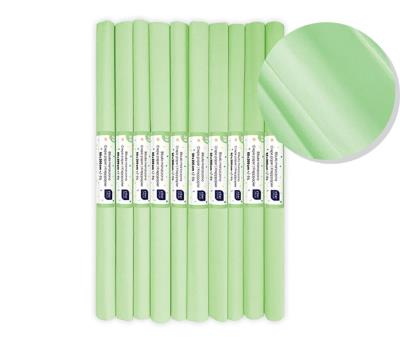 Opakowanie Bibuła marszczona nr 39 pistacjowy pastel (10szt)