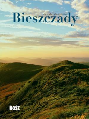 Okładka książki Bieszczady