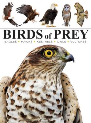 Birds of Prey. Autor: Jackson Tom. SmakLiter.pl Okładka książki Birds of Prey