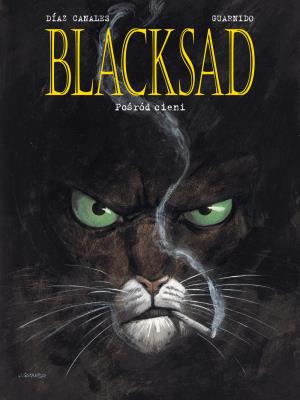 Okładka książki Blacksad. Pośród cieni. Tom 1