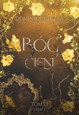 Okładka książki Bóg Cieni. Bogini. Tom 3. Część 1