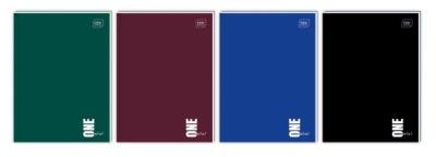 Opakowanie Brulion A4/96k linia One Color (5szt)