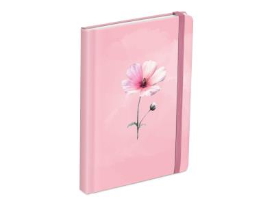 Opakowanie Brulion z gumką 120k.gładki 13x18cm