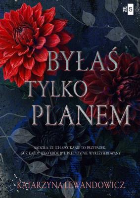 Okładka książki Byłaś tylko planem
