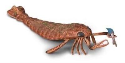 Opakowanie Collecta Jaekelopterus