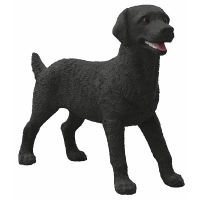 Opakowanie Czarny Labrador suczka